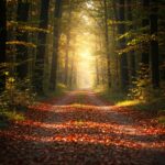 The Road Not Taken Poem: Remembering a Loved One Through Life’s Unchosen Paths