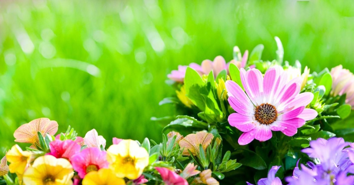 Flower Poems